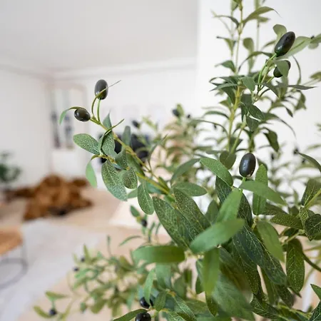 -stadthaus Ida- Mit Grosser Dachterasse, Am Schlosspark, Luftkurort Kisslegg, Boxspringbetten, Kaffeevollautomat, Smarttv, Familienfreundlich, Grosszuegig, Zentral Holiday home Kisslegg